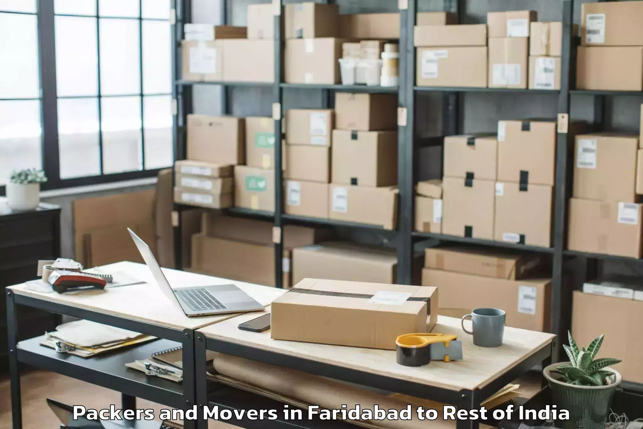 Professional Faridabad to Tekulapally Packers And Movers